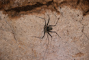 Venado Caves, Costa Rica